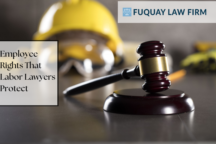 Rights That Labor Lawyers Protect